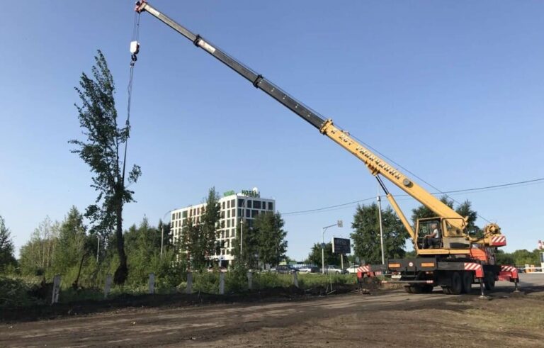 Proje Görseli